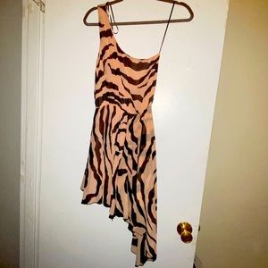 Pink/Black Zebra Print Dress